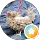 Miriam al-kashi profile picture